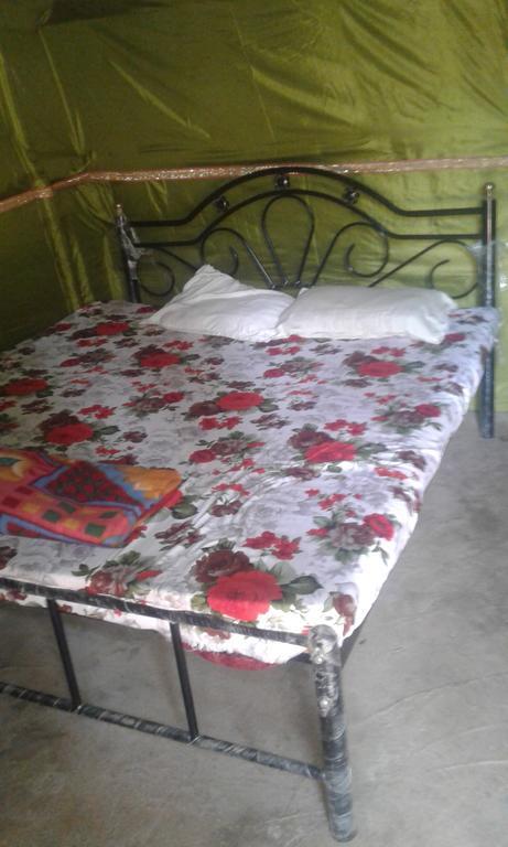 Shanti Guest House Arambol Ngoại thất bức ảnh