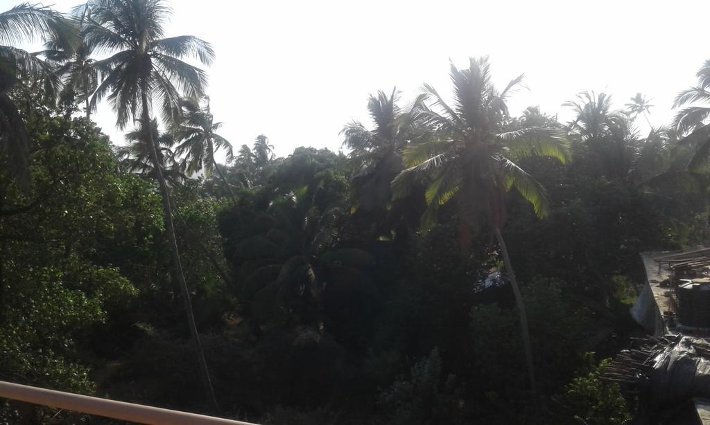 Shanti Guest House Arambol Ngoại thất bức ảnh